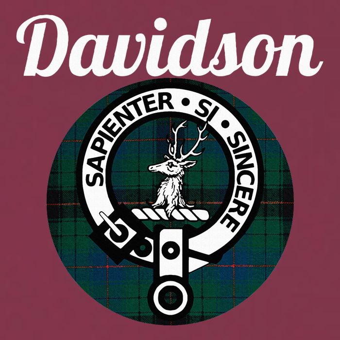 Davidson Clan Scottish Name Coat Of Arms Tartan 16oz Travel Tumbler