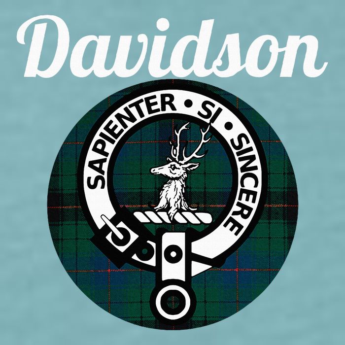 Davidson Clan Scottish Name Coat Of Arms Tartan Sueded Cloud Jersey T-Shirt