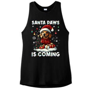 Dachshund Christmas Tree Lights Decorations Dog Lover Xmas Ladies PosiCharge Tri-Blend Wicking Tank