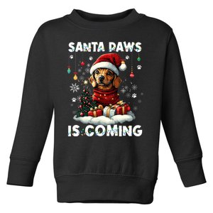 Dachshund Christmas Tree Lights Decorations Dog Lover Xmas Toddler Sweatshirt