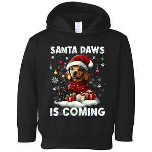 Dachshund Christmas Tree Lights Decorations Dog Lover Xmas Toddler Hoodie