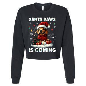 Dachshund Christmas Tree Lights Decorations Dog Lover Xmas Cropped Pullover Crew