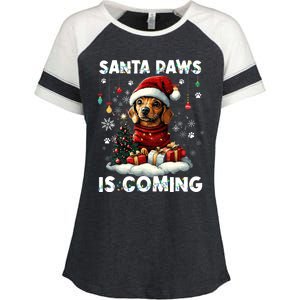 Dachshund Christmas Tree Lights Decorations Dog Lover Xmas Enza Ladies Jersey Colorblock Tee