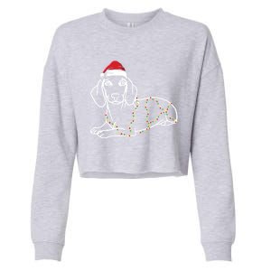 Dachshund Christmas Tree Lights Xmas Cute Dog Doxie Puppy Cool Gift Cropped Pullover Crew