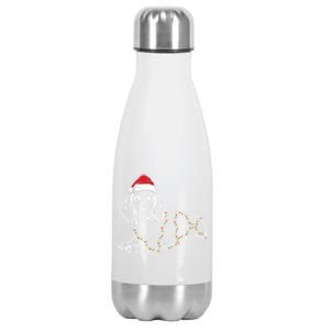 Dachshund Christmas Tree Lights Xmas Cute Dog Doxie Puppy Cool Gift Stainless Steel Insulated Water Bottle