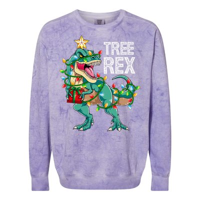 Dinosaur Christmas Tree Lights T Rex Gifts Christmas Colorblast Crewneck Sweatshirt