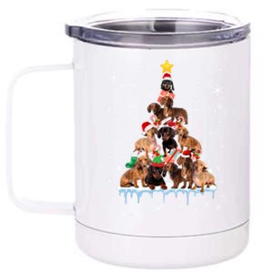 Dachshund Christmas Tree Funny Santa Reindeer Lover Meaningful Gift 12 oz Stainless Steel Tumbler Cup