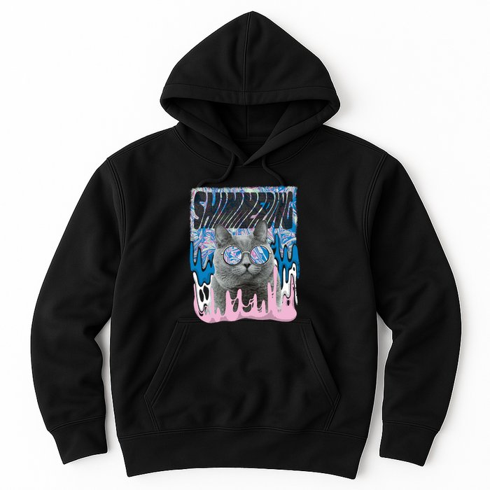 Dazed Cat With Glasses Hoodie