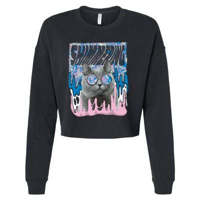 Dazed Cat With Glasses Cropped Pullover Crew