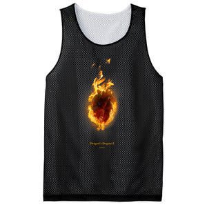 DragonS Dogma 2 Heart Mesh Reversible Basketball Jersey Tank