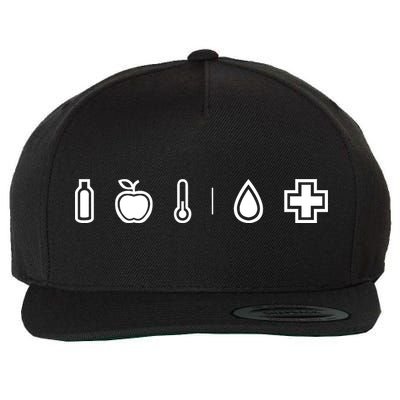 Dayz Wool Snapback Cap