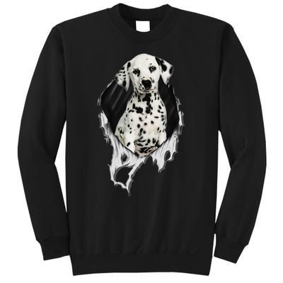 Dalmatian Sweatshirt