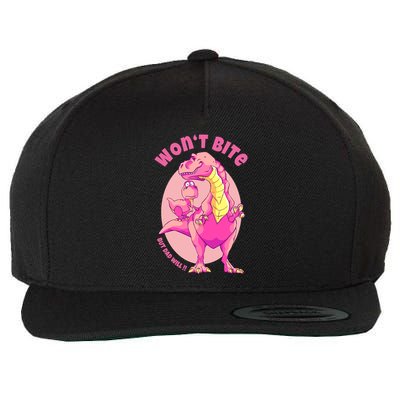 Dinosaur Dino And Daddysaurus Trex Funny Gift Wool Snapback Cap