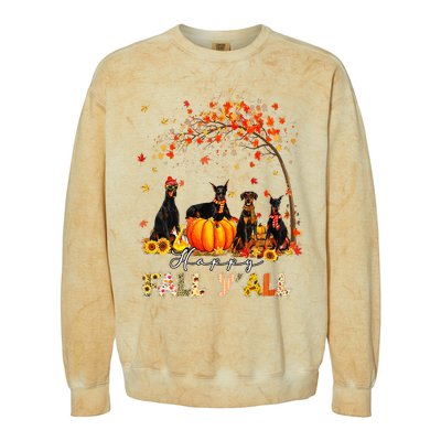 Doberman Dog Autumn Fall Pumpkin Truck Mappe Thanksgiving Colorblast Crewneck Sweatshirt