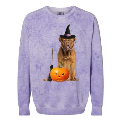 Dogue De Bordeaux Witch Hat Halloween Dog Colorblast Crewneck Sweatshirt