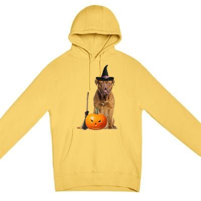 Dogue De Bordeaux Witch Hat Halloween Dog Premium Pullover Hoodie