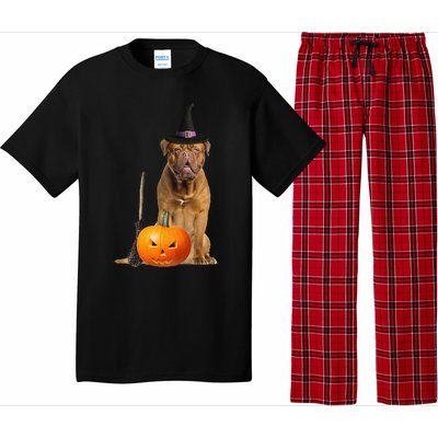 Dogue De Bordeaux Witch Hat Halloween Dog Pajama Set