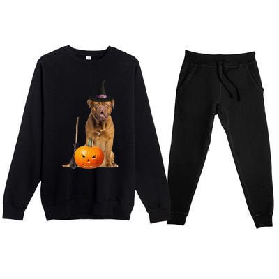 Dogue De Bordeaux Witch Hat Halloween Dog Premium Crewneck Sweatsuit Set