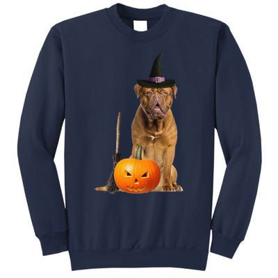 Dogue De Bordeaux Witch Hat Halloween Dog Sweatshirt