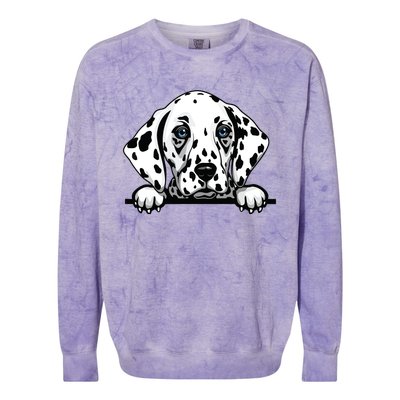 Dalmatian Dog Breed Popping Up Fun Dalmatian Owner Colorblast Crewneck Sweatshirt