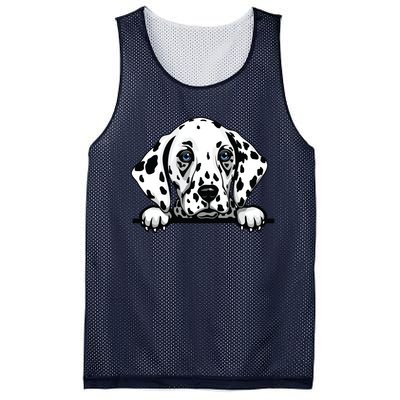 Dalmatian Dog Breed Popping Up Fun Dalmatian Owner Mesh Reversible Basketball Jersey Tank