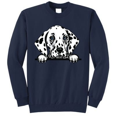 Dalmatian Dog Breed Popping Up Fun Dalmatian Owner Tall Sweatshirt