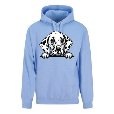 Dalmatian Dog Breed Popping Up Fun Dalmatian Owner Unisex Surf Hoodie