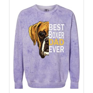 Dog dad, best dog dad ever, dog dad boxer dad Colorblast Crewneck Sweatshirt