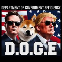 D.O.G.E Doge Department Of Government Efficiency Flat Bill Trucker Hat