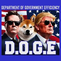 D.O.G.E Doge Department Of Government Efficiency 16 in Basic Backpack