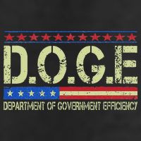 Doge Doge Department Of Government Efficiency Adult Drive Performance Visor