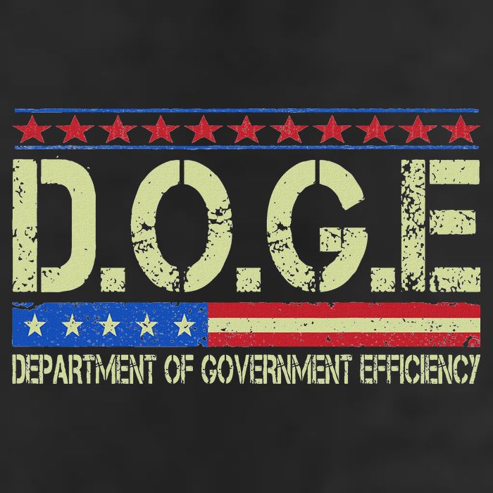 Doge Doge Department Of Government Efficiency Adult Drive Performance Visor