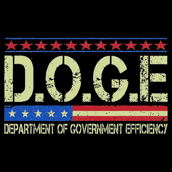 Doge Doge Department Of Government Efficiency 16 in Basic Backpack