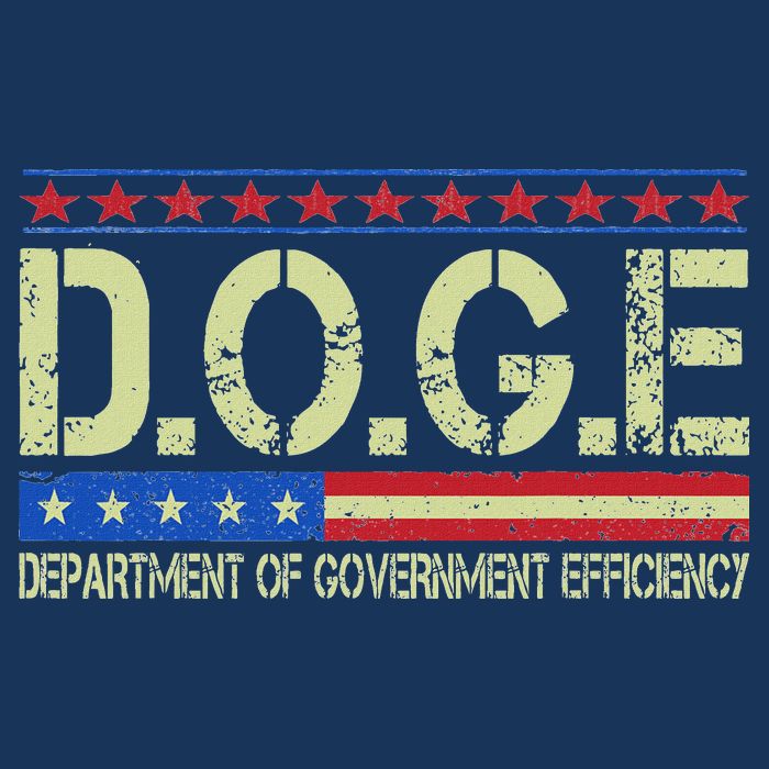 Doge Doge Department Of Government Efficiency Infant Baby Jersey Bodysuit