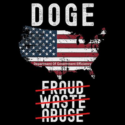 Doge D.O.G.E. Department Of Government Efficiency T-Shirt