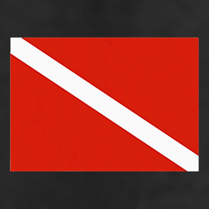 Diver Down Dive Flag Scuba Diving Flag Cool Comfort Performance Bucket Hat