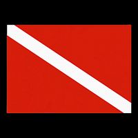 Diver Down Dive Flag Scuba Diving Flag Button