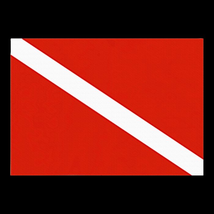 Diver Down Dive Flag Scuba Diving Flag Button