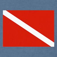 Diver Down Dive Flag Scuba Diving Flag Garment-Dyed Sweatshirt