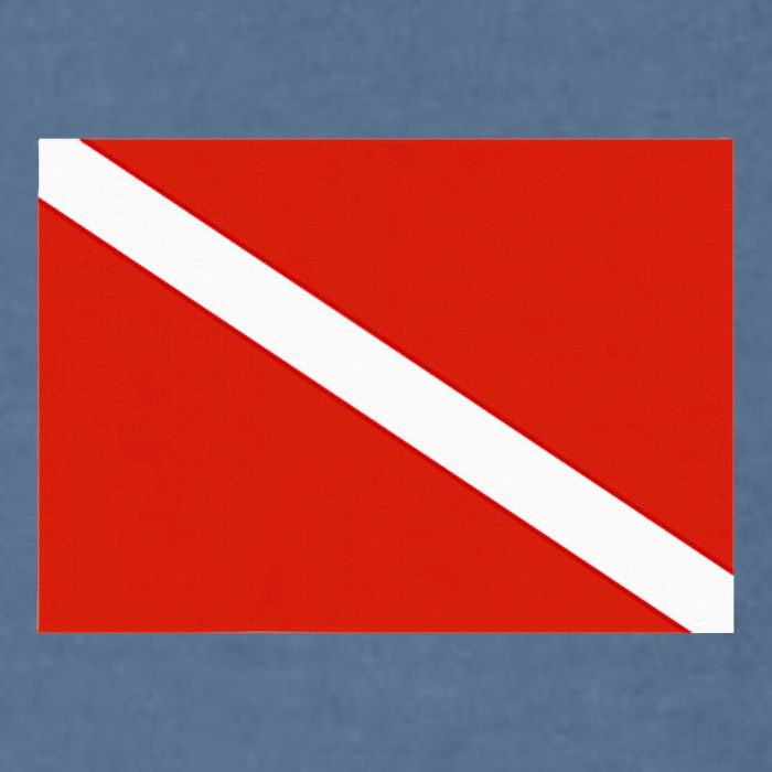 Diver Down Dive Flag Scuba Diving Flag Garment-Dyed Sweatshirt
