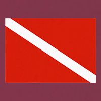 Diver Down Dive Flag Scuba Diving Flag 16oz Travel Tumbler