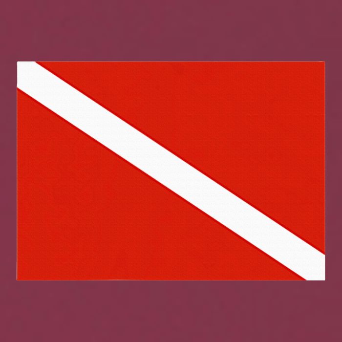 Diver Down Dive Flag Scuba Diving Flag 16oz Travel Tumbler