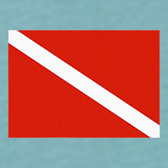Diver Down Dive Flag Scuba Diving Flag Sueded Cloud Jersey T-Shirt