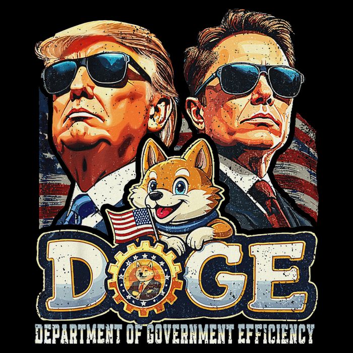 Doge D.O.G.E. Department Of Government Efficiency Button