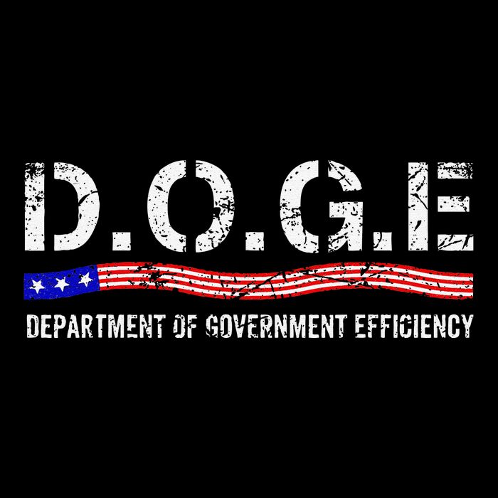 Doge D.O.G.E. Department Of Government Efficiency Us Flag 7-Panel Snapback Hat