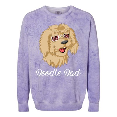 Doodle Dad Colorblast Crewneck Sweatshirt