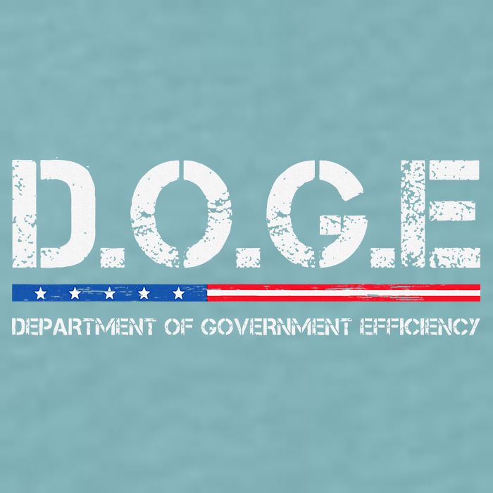 Doge D.O.G.E. Department Of Government Efficiency Sueded Cloud Jersey T-Shirt