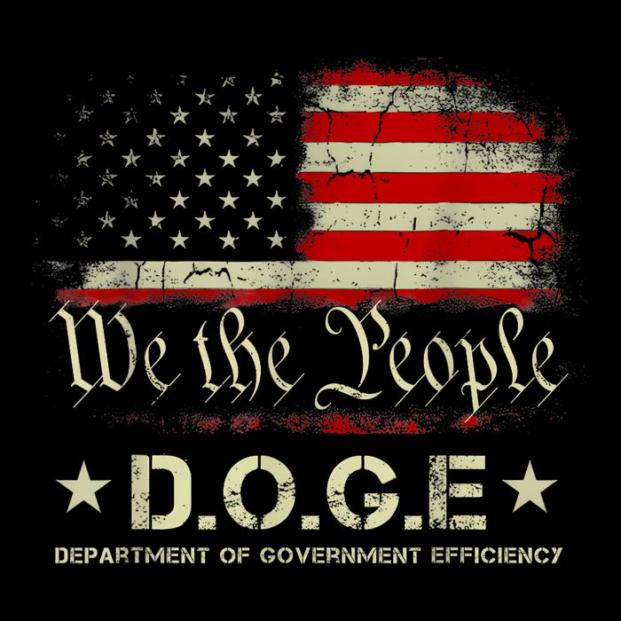 Doge D.O.G.E Department Of Government Efficiency Poster