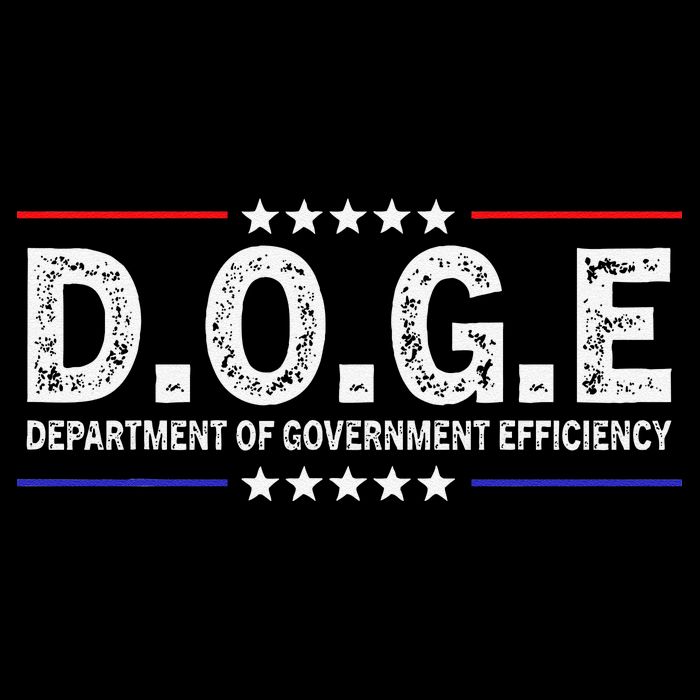D.O.G.E Doge Department Of Government Efficiency Wool Snapback Cap