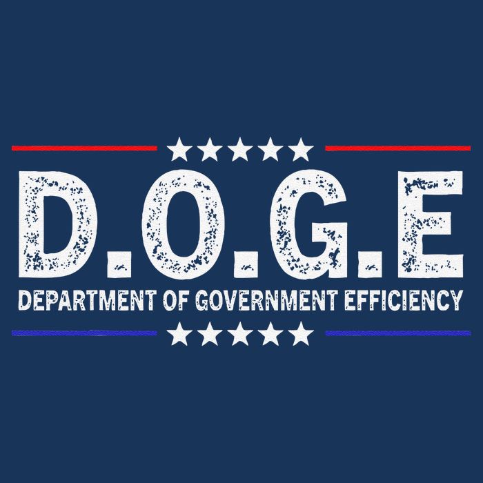 D.O.G.E Doge Department Of Government Efficiency Infant Baby Jersey Bodysuit